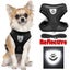 Cat Vest Harness Leash Set L Carousel 4