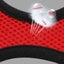 Cat Vest Harness Leash Set L Carousel 6