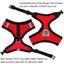 Cat Vest Harness Leash Set L Carousel 8