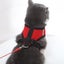 Cat Vest Harness Leash Set L Carousel 5