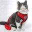 Cat Vest Harness Leash Set L Carousel 10