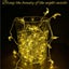 Solar lights outdoor *Clearance Carousel 7