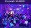 Black Light NZ Clearance Carousel 5