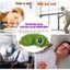 Cute Green Frog Funny Eye Mask For Adults Kids Adjustable Eyelinds Carousel 1