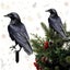 Black Crow Yard Stakes - Weatherproof Halloween & Christmas Decor for Garde Carousel 1