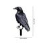 Black Crow Yard Stakes - Weatherproof Halloween & Christmas Decor for Garde Carousel 3