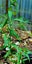 Loading Image 2 of 2