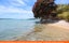 gallery view thumbnail