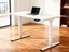 Adjustable Desk Carousel 4