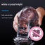 Transparent Realistic Dildo Carousel 2
