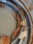 Antique Bike Rims - New Old Stock Carousel 4