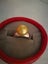 Brand New Golden South Sea Pearl Ring 10mm —— Free Gift *Clearance* Carousel 12