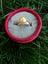Brand New Golden South Sea Pearl Ring 10mm —— Free Gift *Clearance* Carousel 2