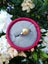 Brand New Golden South Sea Pearl Ring 10mm —— Free Gift *Clearance* Carousel 1