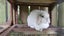 Mini Lop Breeding Pair (3.5 Years Old) + Handmade Cage Carousel 4