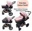Preorder - Supra - 3 in 1 Stroller + Bassinet + Capsule Car Seat Combo with M... Carousel 5