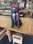 Dog Statue - Fibre Cement - Paint Splash Finish Carousel 5