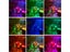 Fish Tank Aquarium Light NZ Clearance Carousel 3
