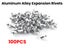 Aluminium Blind Rivets 100PCS Carousel 9