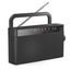 Portable Geriatric Senior Radio,AM/FM Rechargeable Small Player,Mini Radio Carousel 2