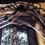 Halloween Decorations Giant Spider for Outdoor Haunt House Halloween Decora Carousel 6