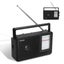 AM FM SW Radio Portable, Shortwave Radio Battery Powered/Plug in Wall for H Carousel 1