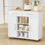 Artiss Kitchen Island Trolley Rolling Serving Cart Storage Drawer Cabinet 100Cm Carousel 7