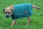 Flair Flair Stirling Polar Fleece Dog Coat Carousel 2