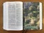 Buk Baibel- The Bible in Tok Pisin (Papua New Guinea) Carousel 8