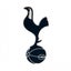 Tottenham Hotspur FC 3D Fridge Magnet Carousel 1