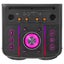 12" Battery Powered/Wireless Party Speakers/Karaoke 120WRMS Carousel 4