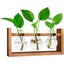 Loading Image 1 of 7