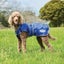 WeatherBeeta Weatherbeeta ComFiTec Windbreaker Free Deluxe Dog Coat Carousel 1