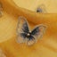Elosung Elegant Butterfly Embroidered Scarf Shawl Large Soft Silk Blend Wrap For Carousel 4