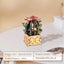 Elosung Diy 3D Cactus Puzzle Toy Colorful Kids' Craft Set Carousel 4