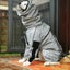 Outdoor Large Dog Raincoat Sunscreen Reflective Jacket Pet Raincoat Hoodie Carousel 5