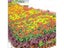 20pcs/50pcs Plant Nursery Pot Seed Starting Pot Plastic Flower Plant Container Carousel 7