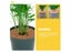 5 Pcs Black Planter Pot Coconut Palm Gasket Coir Mats Fiber Mulch Ring Round Carousel 3