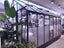 Fairway Obsidian Haven Glasshouse 10x14ft Carousel 4