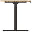Loctek Ergonomic Pro Office Standing Desk - Dual Motor - 1200x600x25mm - 2 Stage Carousel 7