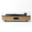 Jam Audio HX-TT700-WD-WW Jam Sound Stream + Turntable [HX-TT700-WD-WW] Carousel 3