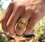 18K Gold Plated Skull Ring Statement Ring Steel Ring for Men RST15KL-5 Carousel 3