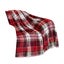 Cozy Christmas Blanket for Adults - Ultra-Soft Polyester Nap Throw (All-Sea Carousel 2