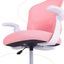 Kids Desk Chair - Children Office Study Seat With Footrest Cilo - Pink Carousel 10