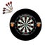 Pro Star Genuine Bristle Dart Board + Brisbane Lions AFL Surround + Darts Carousel 1