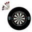 Pro Star Genuine Bristle Dart Board + Canberra Raiders NRL Surround + Darts Carousel 1