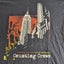 Counting Crows Black Tour Merchandise T-Shirt Top Rock Alt Music Mens XL Band Carousel 2