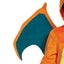 Halloween Charizard 3-PIECE SUIT Costume for Teen Deluxe Animal for the Ultima Carousel 2