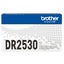 Brother DR2530 Drum Unit 15000 Pages - for DCP-L2640DW / HL-L2400DW / [DR2530] Carousel 1