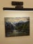 Rocky Stream Fiordland - Caley Hall - Original Painting Carousel 6